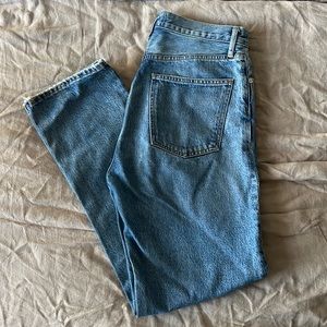 Agolde 90s Pinch Waist Jeans
